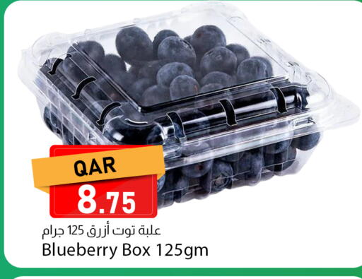 Blueberry BlueBerry available at Dana Market in Qatar - Al Shamal