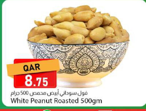 available at دانا ماركت in قطر - الشمال