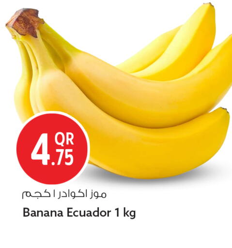 Banana from Ecuador available at سفاري هايبر ماركت in قطر - أم صلال