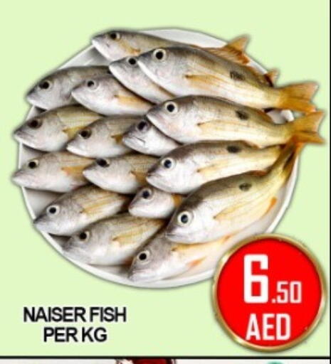 available at جرين جيفت متجر أقسام in الإمارات العربية المتحدة , الامارات - دبي