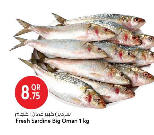 available at سفاري هايبر ماركت in قطر - الريان