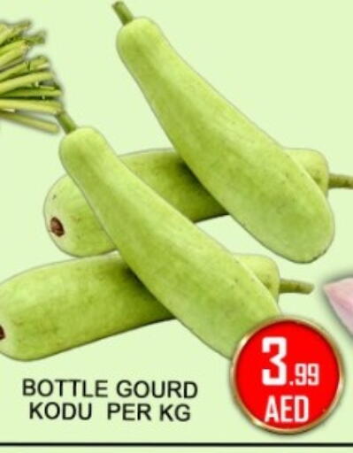 available at جرين جيفت متجر أقسام in الإمارات العربية المتحدة , الامارات - دبي