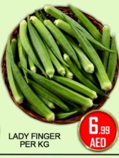 available at جرين جيفت متجر أقسام in الإمارات العربية المتحدة , الامارات - دبي