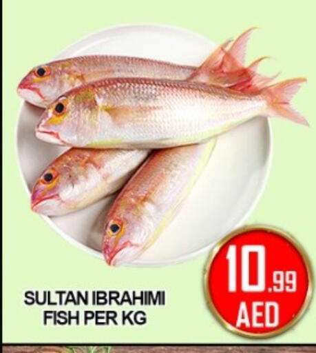 available at جرين جيفت متجر أقسام in الإمارات العربية المتحدة , الامارات - دبي