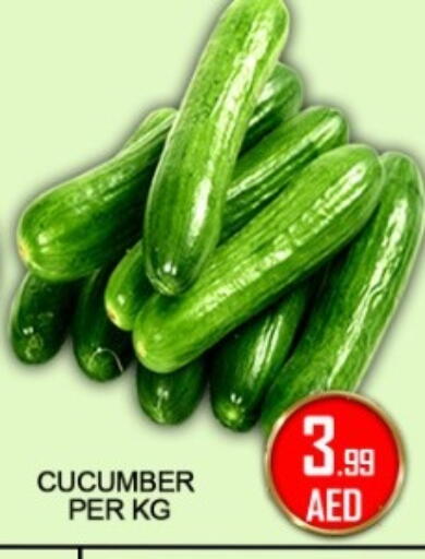 Cucumber available at جرين جيفت متجر أقسام in الإمارات العربية المتحدة , الامارات - دبي