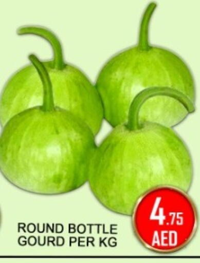 available at جرين جيفت متجر أقسام in الإمارات العربية المتحدة , الامارات - دبي