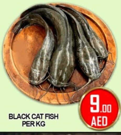 available at جرين جيفت متجر أقسام in الإمارات العربية المتحدة , الامارات - دبي