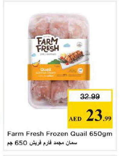 available at نستو هايبرماركت in الإمارات العربية المتحدة , الامارات - دبي