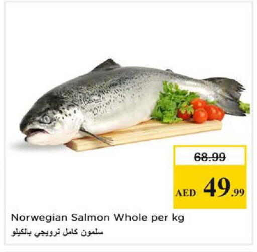 available at نستو هايبرماركت in الإمارات العربية المتحدة , الامارات - الشارقة / عجمان