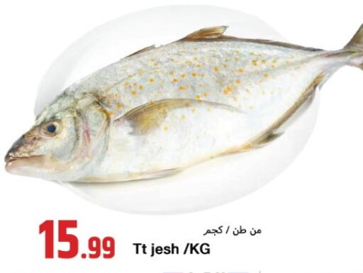available at  روابي ماركت عجمان in الإمارات العربية المتحدة , الامارات - الشارقة / عجمان