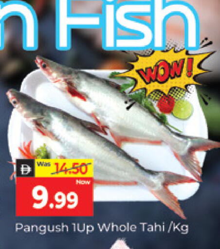 available at المدينة in الإمارات العربية المتحدة , الامارات - دبي