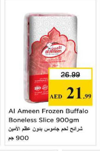 available at نستو هايبرماركت in الإمارات العربية المتحدة , الامارات - الشارقة / عجمان