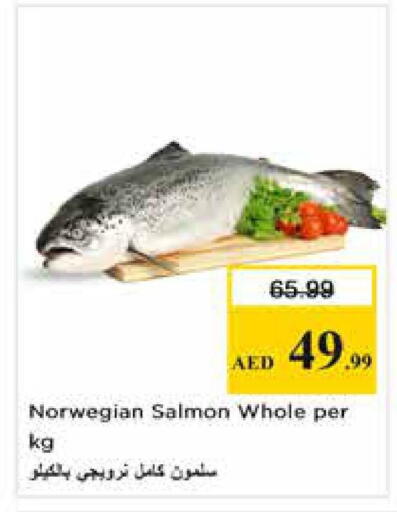 available at Nesto Hypermarket in UAE - Dubai