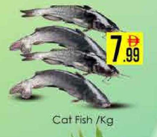 available at ايكو مول & ايكو هايبرماركت in الإمارات العربية المتحدة , الامارات - دبي