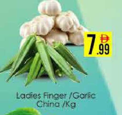 Garlic from China available at ايكو مول & ايكو هايبرماركت in الإمارات العربية المتحدة , الامارات - دبي