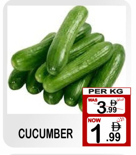 Cucumber available at Friday Center in UAE - Sharjah / Ajman