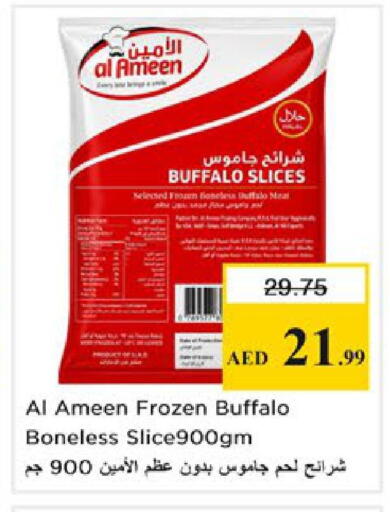 available at Nesto Hypermarket in UAE - Ras al Khaimah