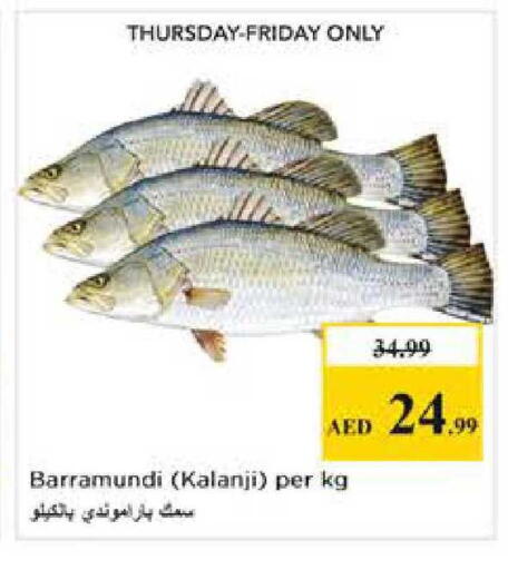 available at Nesto Hypermarket in UAE - Abu Dhabi