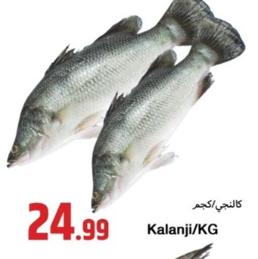 available at  روابي ماركت عجمان in الإمارات العربية المتحدة , الامارات - الشارقة / عجمان