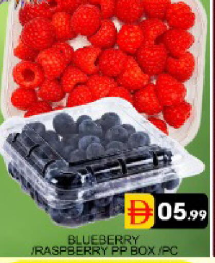 Blueberry BlueBerry Raspberry Mango available at مانجو هايبرماركت in الإمارات العربية المتحدة , الامارات - دبي