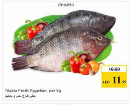 available at نستو هايبرماركت in الإمارات العربية المتحدة , الامارات - الشارقة / عجمان