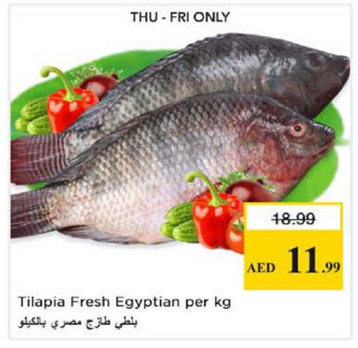 available at نستو هايبرماركت in الإمارات العربية المتحدة , الامارات - الشارقة / عجمان
