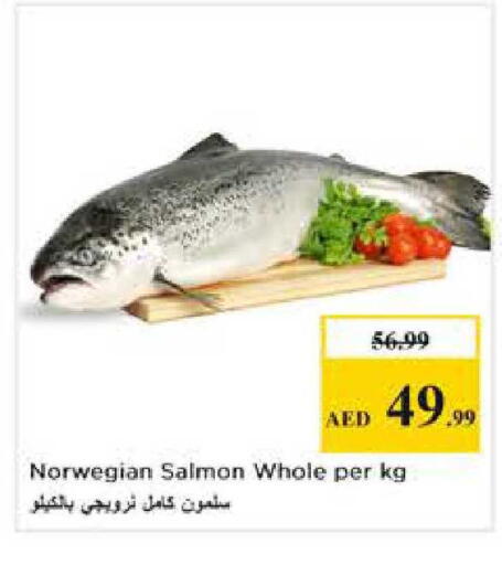 available at Nesto Hypermarket in UAE - Abu Dhabi