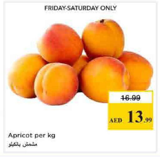 Apricot available at Nesto Hypermarket in UAE - Sharjah / Ajman