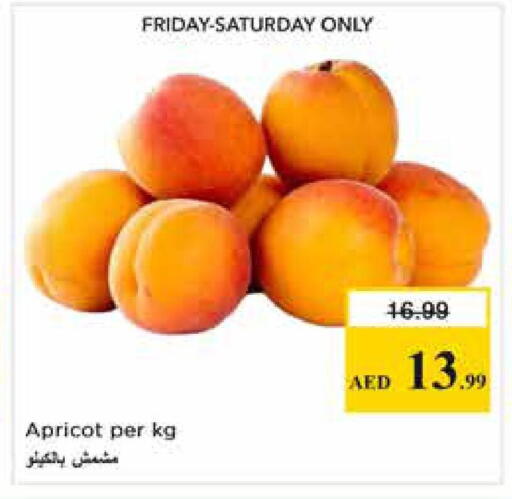 Apricot available at Nesto Hypermarket in UAE - Sharjah / Ajman