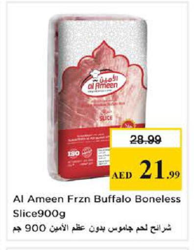 available at نستو هايبرماركت in الإمارات العربية المتحدة , الامارات - دبي