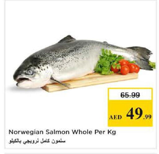 available at Nesto Hypermarket in UAE - Dubai