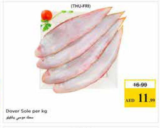 available at نستو هايبرماركت in الإمارات العربية المتحدة , الامارات - الشارقة / عجمان