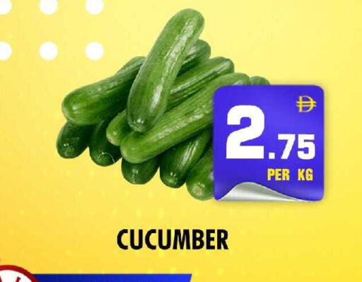 Cucumber available at نايت تو نايت in الإمارات العربية المتحدة , الامارات - الشارقة / عجمان