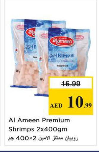 available at نستو هايبرماركت in الإمارات العربية المتحدة , الامارات - الشارقة / عجمان