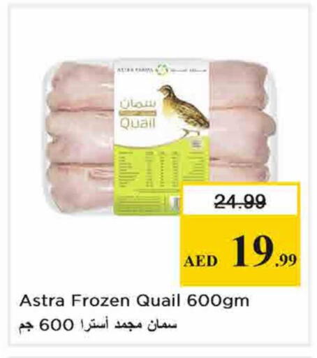 available at نستو هايبرماركت in الإمارات العربية المتحدة , الامارات - الشارقة / عجمان
