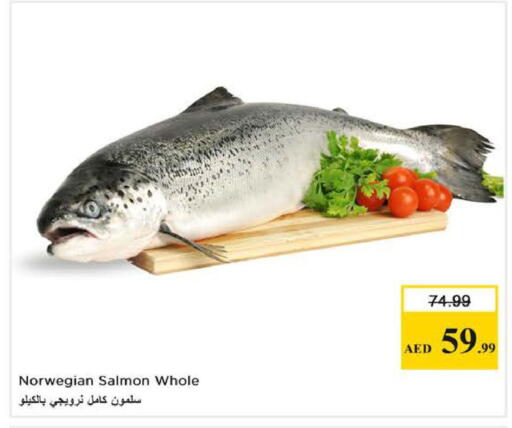 available at Nesto Hypermarket in UAE - Dubai