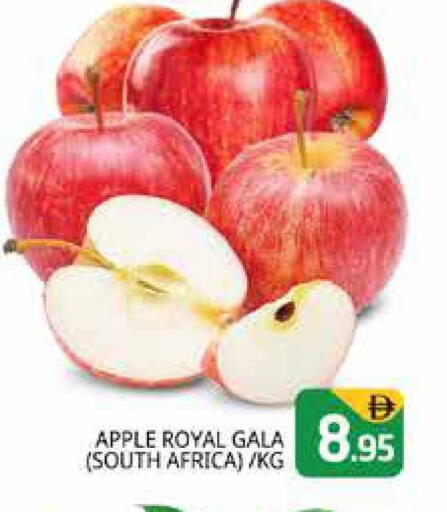 Apple from South Africa available at Pasons Hypermarket in UAE - Dubai