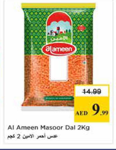 available at نستو هايبرماركت in الإمارات العربية المتحدة , الامارات - الشارقة / عجمان