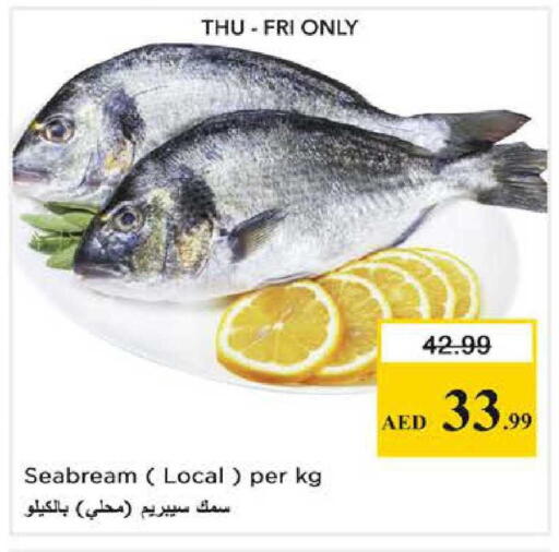 available at نستو هايبرماركت in الإمارات العربية المتحدة , الامارات - الشارقة / عجمان