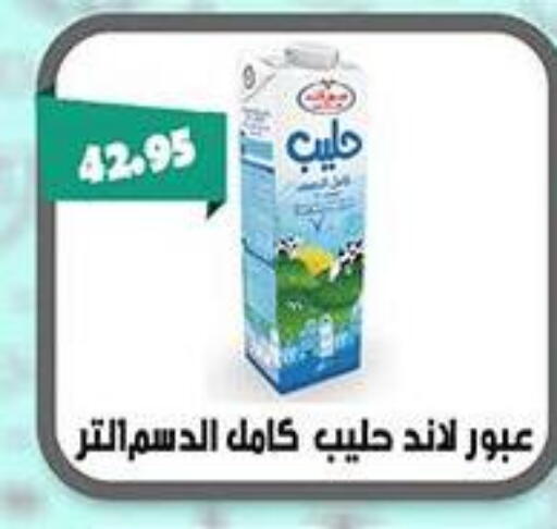 available at Abu Saleh Dairy Market in Egypt - Cairo