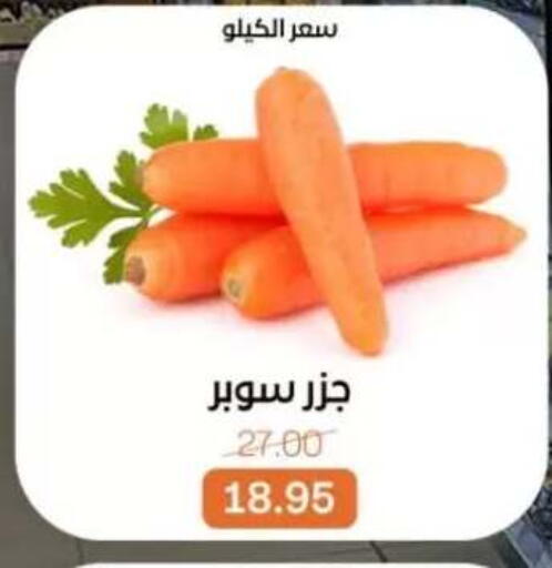 available at بيت الجملة in Egypt - القاهرة