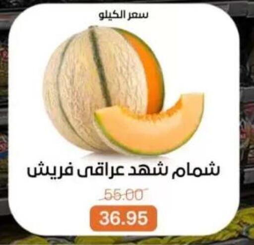 available at بيت الجملة in Egypt - القاهرة