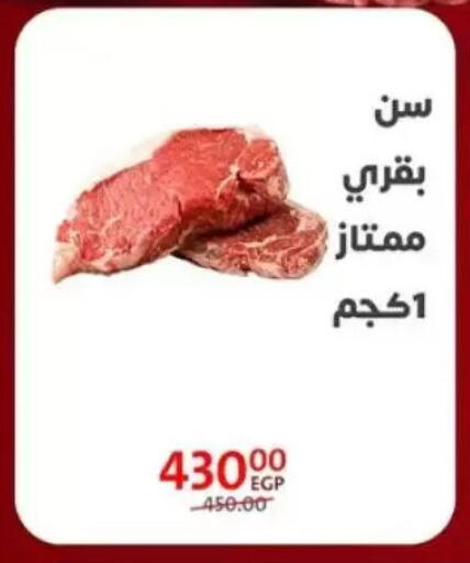 available at Arab DownTown in Egypt - Cairo