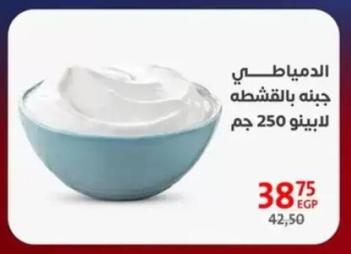 available at Arab DownTown in Egypt - Cairo