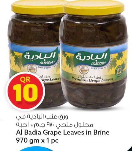 available at سفاري هايبر ماركت in قطر - الوكرة