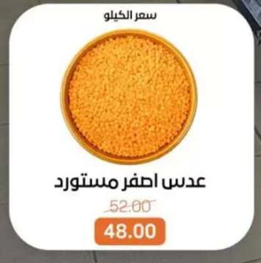 available at بيت الجملة in Egypt - القاهرة