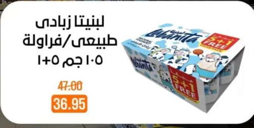 available at بيت الجملة in Egypt - القاهرة