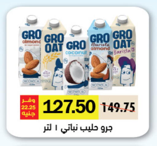 Coconut available at Royal House in Egypt - Cairo