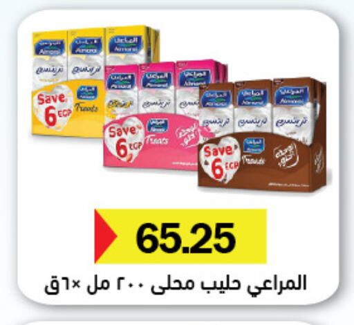 available at Royal House in Egypt - Cairo