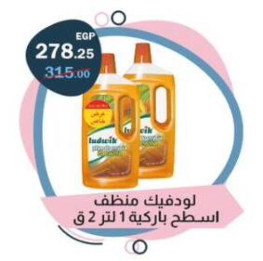available at Flamingo Hyper Market in Egypt - Cairo